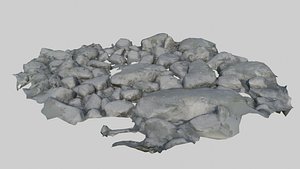 riverRocks model