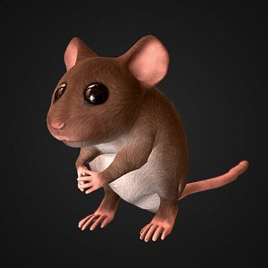 3D mouse animations