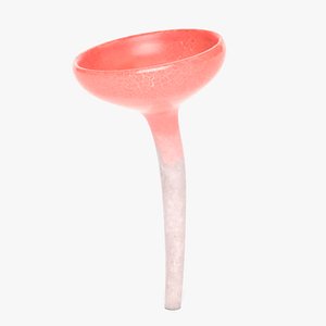 Cookeina Speciosa Mushroom 3D model