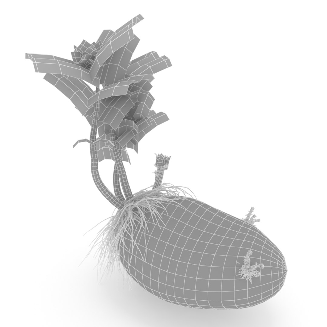 3D photorealistic potatoes https://p.turbosquid.com/ts-thumb/6O/sUOTBa/alPotY7V/grid1/jpg/1579945184/1920x1080/fit_q87/dac9d49755de78884dd511b595a036adb47aa440/grid1.jpg