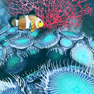 3D Zoanthid Coral