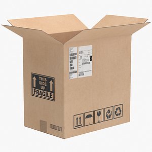 Cardboard Box 5 Open