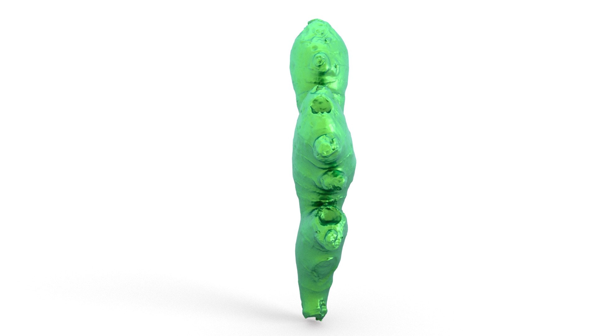 3D model Ginger 3d scan https://p.turbosquid.com/ts-thumb/6P/FV7InO/Fa/038_ginger_0002/jpg/1760447303/1920x1080/fit_q87/7f8711edc8bdb4ba5b07bfc989e59f0460bcc0e4/038_ginger_0002.jpg