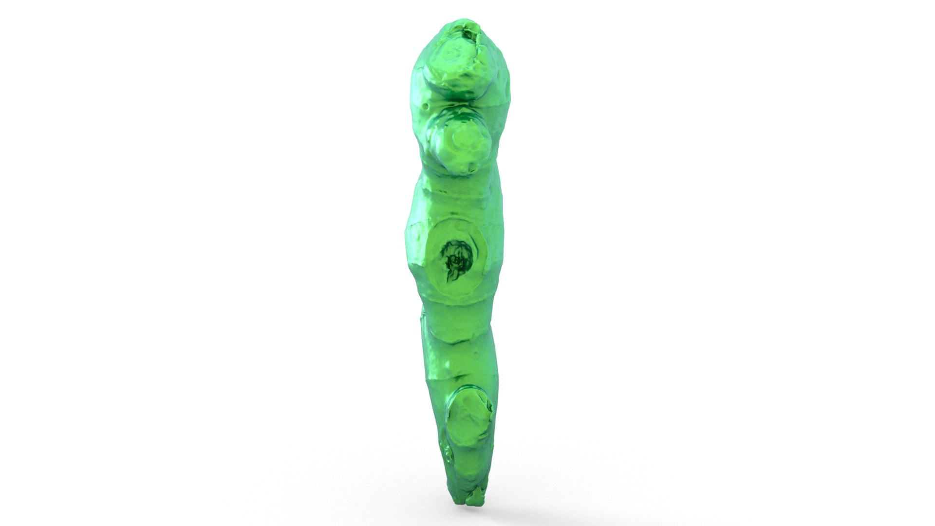 3D model Ginger 3d scan https://p.turbosquid.com/ts-thumb/6P/FV7InO/ri/038_ginger_0001/jpg/1760447302/1920x1080/fit_q87/f65b92ca6c8050601a9c0cd983aae65354d10f4a/038_ginger_0001.jpg