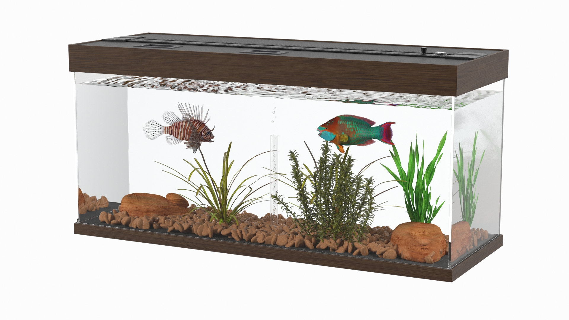 3D Model Fish Tank Wooden Long - TurboSquid 2132397