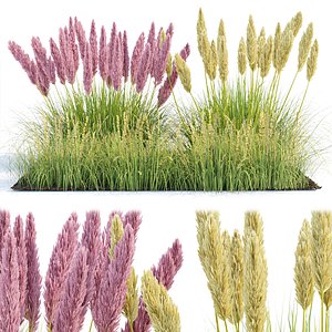 outdoor plants collection vol 80 3D model