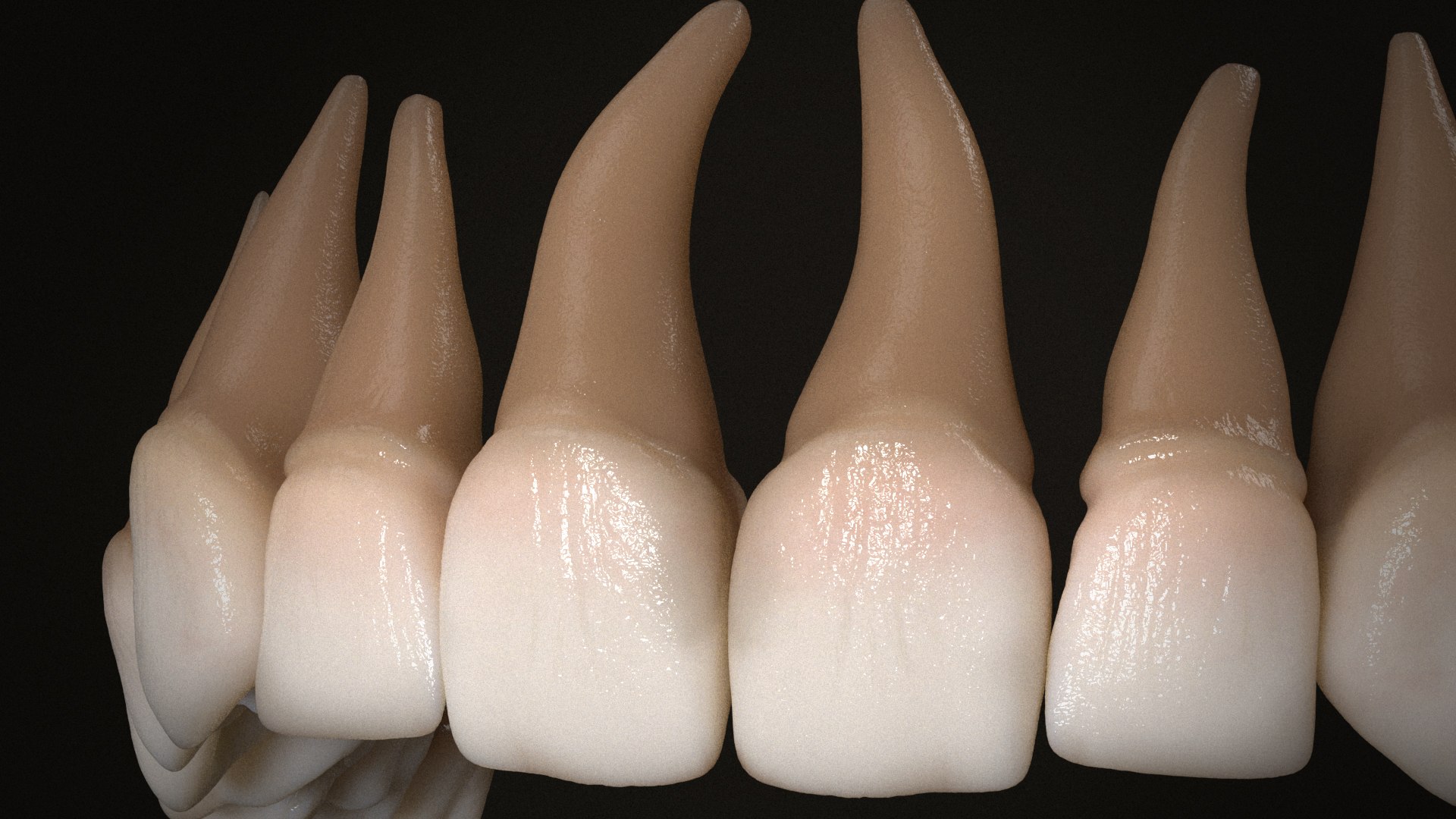 Realistic Human Teeth Model - TurboSquid 2301036
