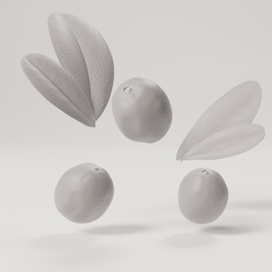 3D model Cranberries https://p.turbosquid.com/ts-thumb/6P/jqzbY7/4y/cranberry_wireframe_0001/jpg/1707242389/1920x1080/fit_q87/afc42fdaee20922663cf810d8dcece74fb300235/cranberry_wireframe_0001.jpg