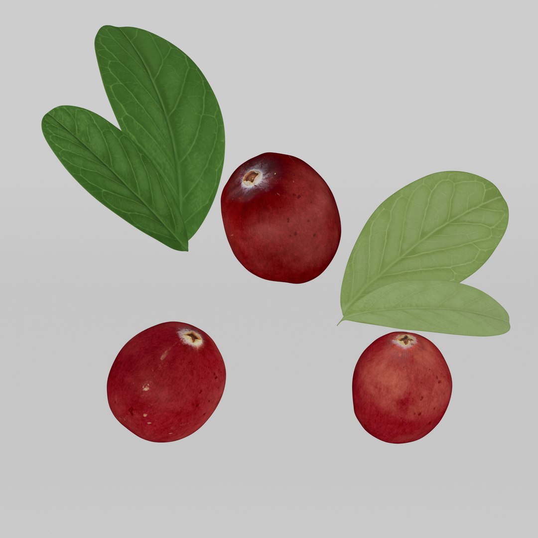 3D model Cranberries https://p.turbosquid.com/ts-thumb/6P/jqzbY7/FM/cranberry_diffuse_0001/jpg/1707242359/1920x1080/fit_q87/04c70babe8f15062618944b17100b7104f63aa6e/cranberry_diffuse_0001.jpg