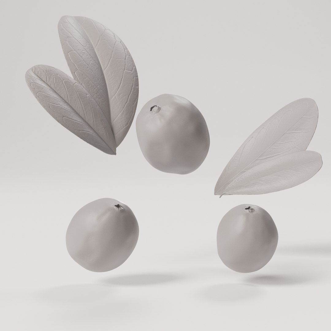 3D model Cranberries https://p.turbosquid.com/ts-thumb/6P/jqzbY7/Ju/cranberry_grayscale_0001/jpg/1707242389/1920x1080/fit_q87/77f3da0ab00a98ed3b77b7bf1a94792c8ed7bdeb/cranberry_grayscale_0001.jpg