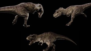 3D model Tyrannosaurus Rex 3D Model  Fully Rigged  Animated  Game  Film Ready  Clean Topology  160 Pro