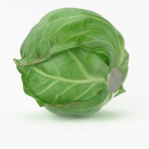 3ds max realistic cabbage real vegetables