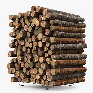 Pile of Small Wood Logs