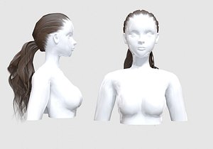 3D Ponytail Female Hair