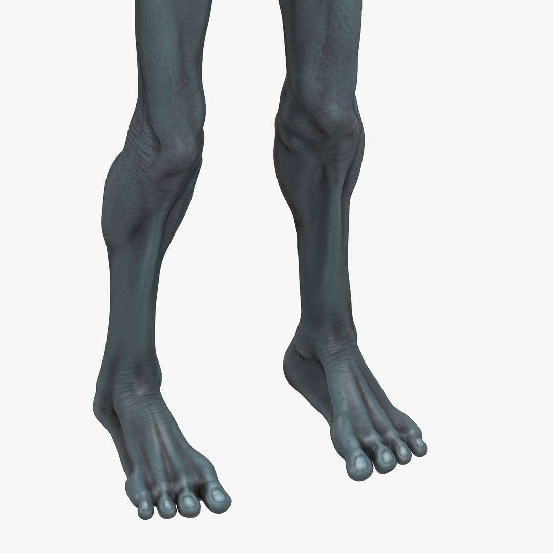 character 3d max https://p.turbosquid.com/ts-thumb/6Q/COi7FK/8MJ9HgaX/8/jpg/1439707874/1920x1080/fit_q87/a50ec6e3f9cf46eb1b20eb454faa96fc141b02f8/8.jpg