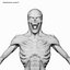 Mort-vivant