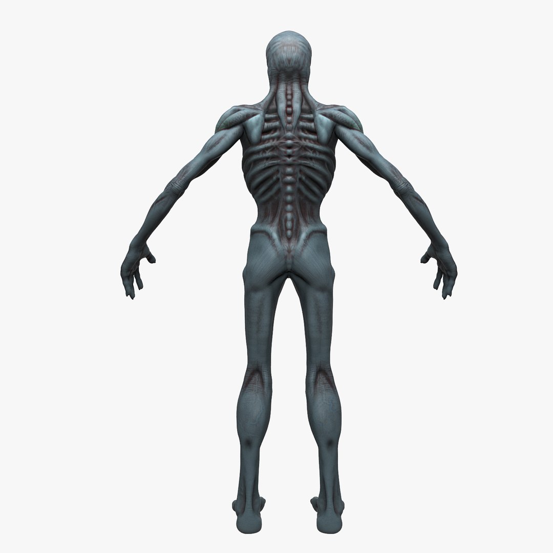 character 3d max https://p.turbosquid.com/ts-thumb/6Q/COi7FK/XdOvzPiA/7/jpg/1439707874/1920x1080/fit_q87/b0337e20a900800cdb4a222e3c62baedaf961c30/7.jpg