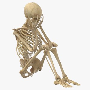 Real Human Female Skeleton Pose 106 3D