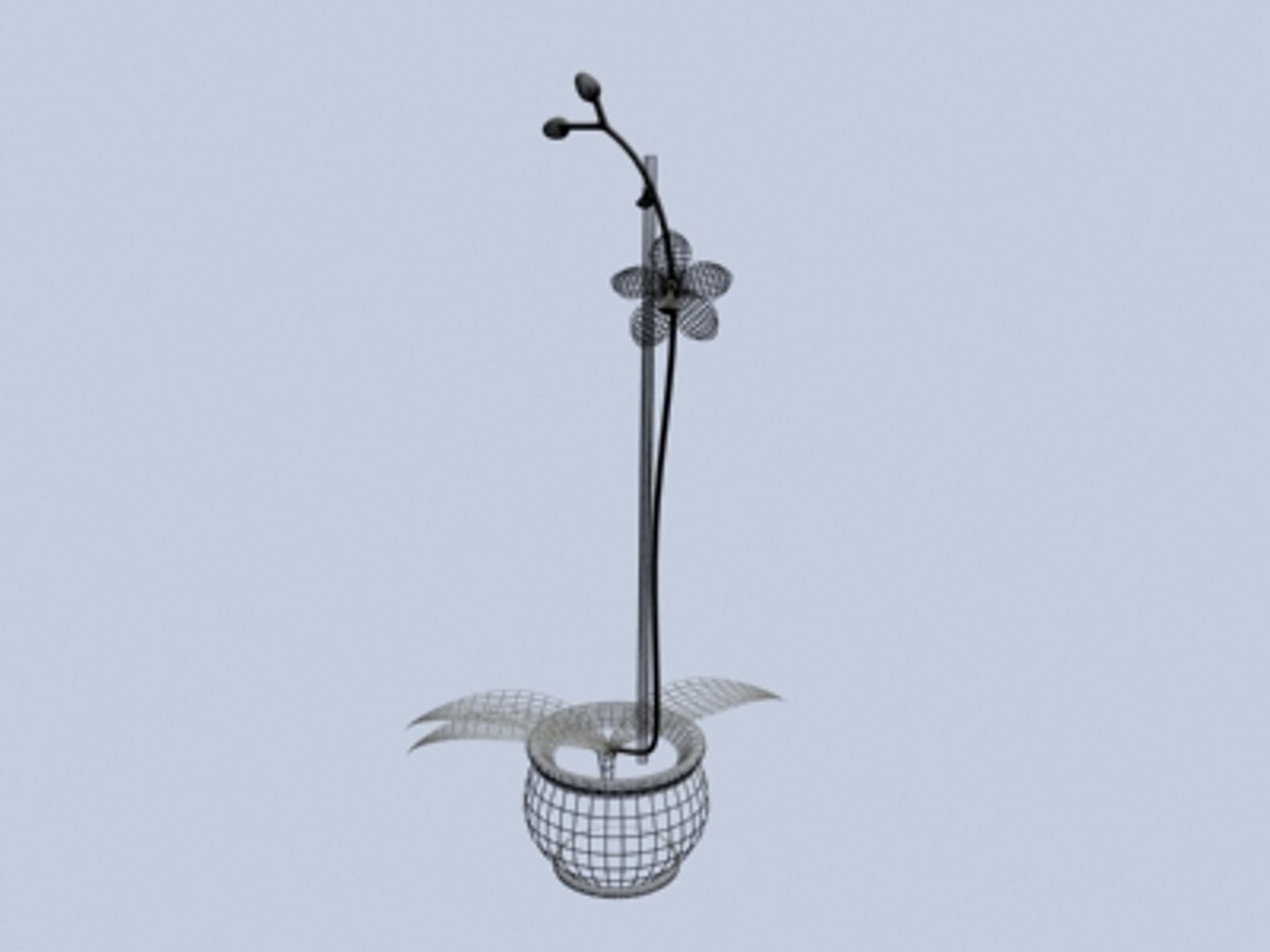 3d model orchidea flower https://p.turbosquid.com/ts-thumb/6Q/GSZO3N/1deGfOKA/orchideawire/jpeg/1114773531/1920x1080/fit_q87/1b689600635caf4134d3b9d46057e6b4ee3f9cf2/orchideawire.jpg