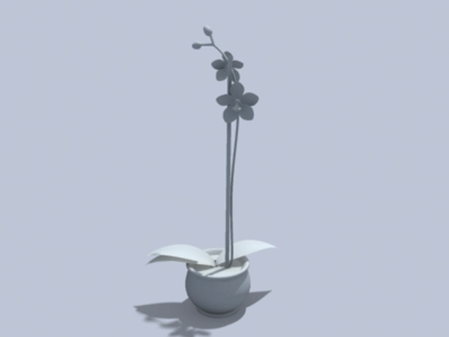 3d model orchidea flower https://p.turbosquid.com/ts-thumb/6Q/GSZO3N/e6hh4aT9/orchideaclay/jpeg/1114773529/1920x1080/fit_q87/cbb3c6a6714aae97ee0ea4844b4072bdb4fb463a/orchideaclay.jpg