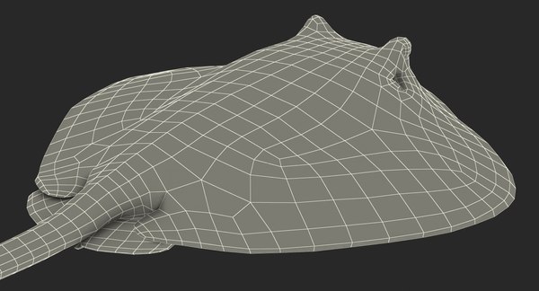 3d model stingray rigged