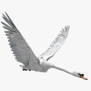 Swan (ANIMATED)