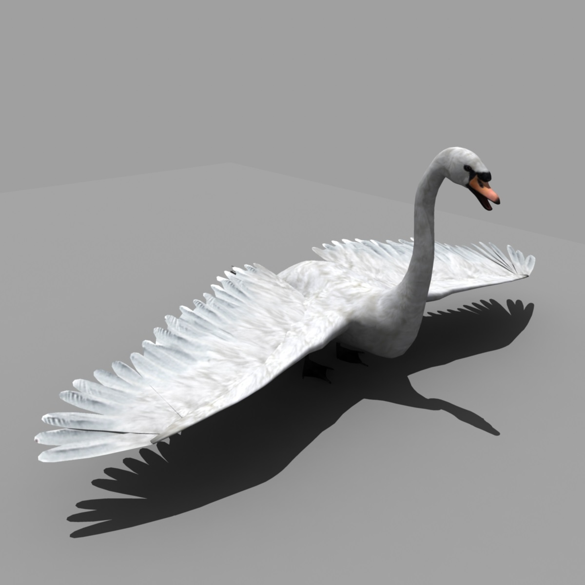 swan animators 3d model