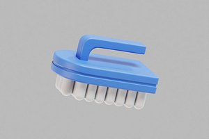 Cleaning Brush