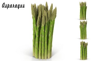 asparagus 3d max