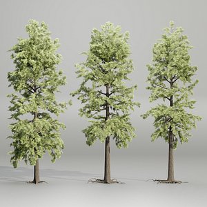 pine trees collection vol 102-Blender 3D