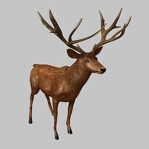 3D model Reindeer Rigged