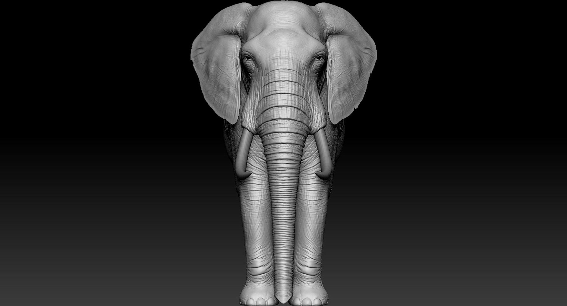 Elephant rigged 3D - TurboSquid 1155628