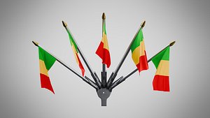 3D Wall Mount Flags 5 Of Mali