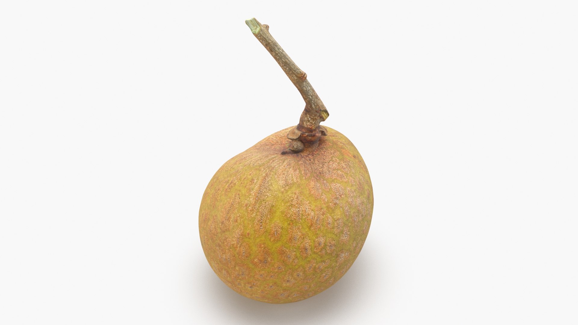 Longan Collection 3D model https://p.turbosquid.com/ts-thumb/6R/9Px2cY/h9/longan01_a0001/jpg/1788711608/1920x1080/fit_q87/8bc8d922cd2a8e7138eaa2aca78bb75a7d3f1e9b/longan01_a0001.jpg