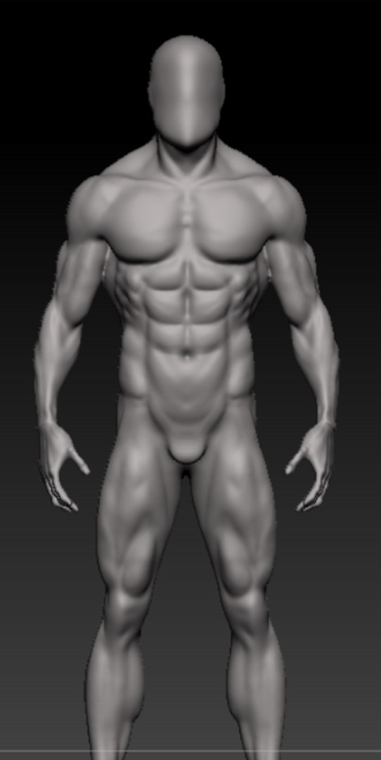 Free Anatomy Human Male 3D Model - TurboSquid 1522566