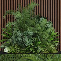Plants collection 603