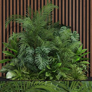 Plants collection 603