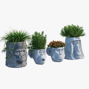 3D Monkey Head model