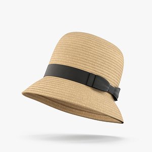 Straw Cloche Hat 3D model