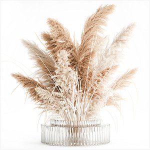Dried flower bouquet branches cortaderia pampas vase glass 3D model