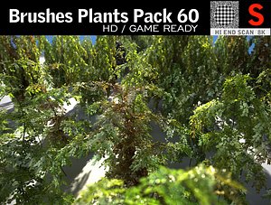 3D brushes plants pack 60