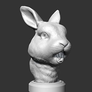 3D model Rabbit Head AM35 3D print model