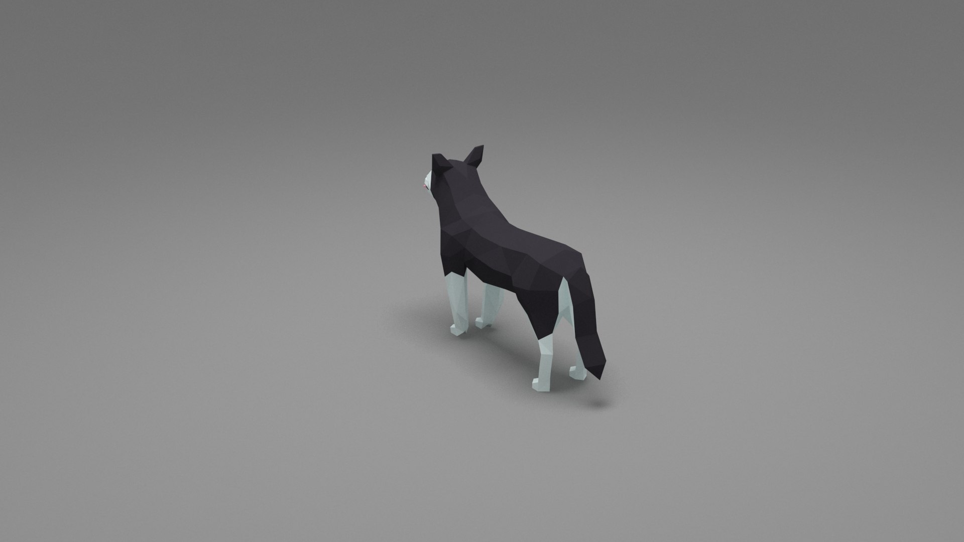 Dog Low Poly 09 3D model https://p.turbosquid.com/ts-thumb/6R/mLAC85/IA/05/jpg/1751179391/1920x1080/fit_q87/fd9b091cde2ec41e69e7ea0479bbfcd7981c7438/05.jpg