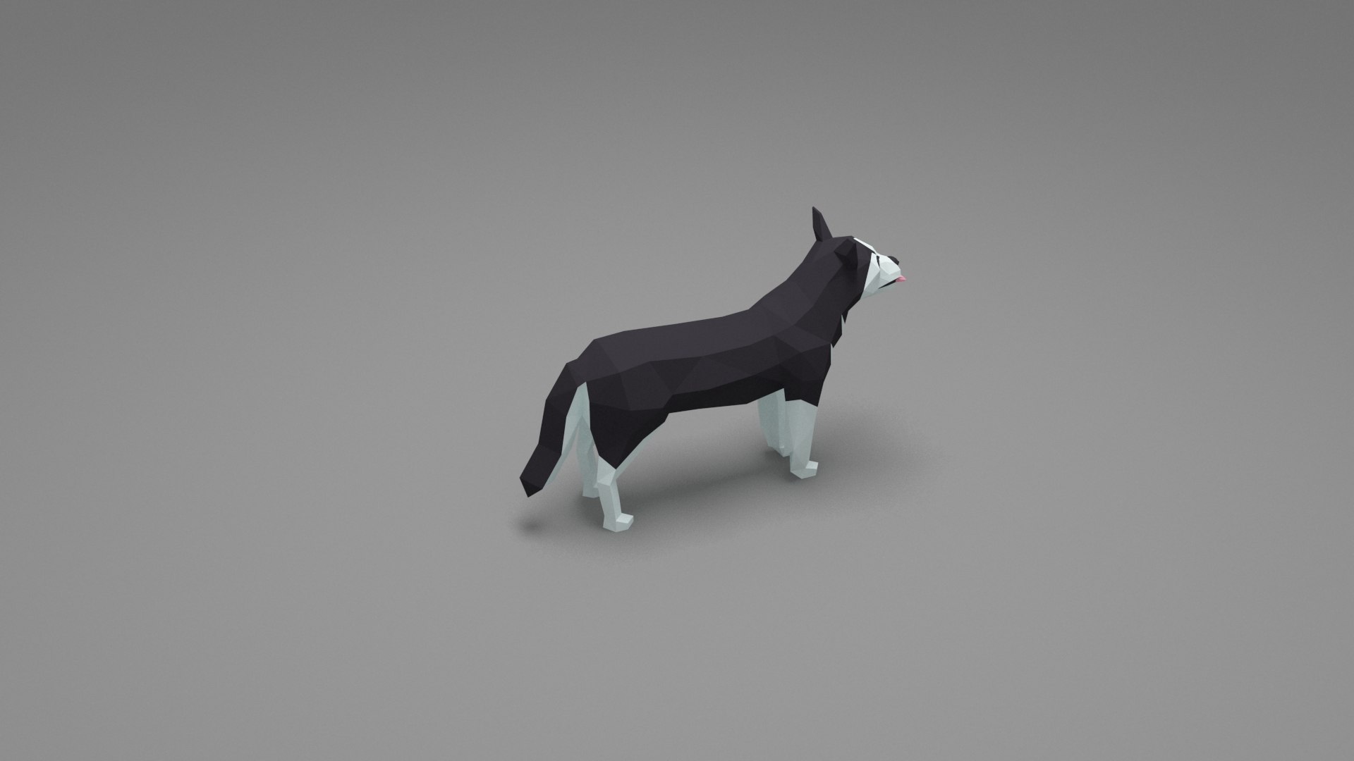 Dog Low Poly 09 3D model https://p.turbosquid.com/ts-thumb/6R/mLAC85/u4/06/jpg/1751179393/1920x1080/fit_q87/5421a32418989a5dd313f7f0c7aca176dc264585/06.jpg