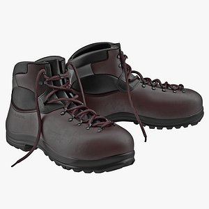 Hiking Boots 2