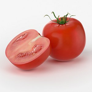 3d max realistic tomato real vegetables