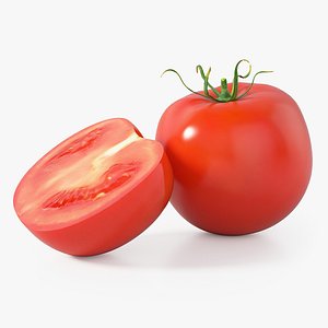 Realistic Tomato