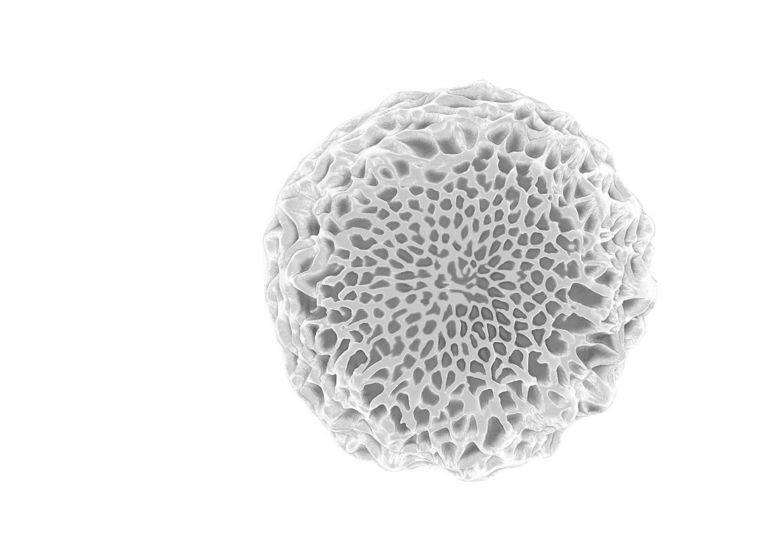 butterfly egg 3D model https://p.turbosquid.com/ts-thumb/6S/All8WM/lrDM8HoA/butterflyeggprintabletop/jpg/1597750854/1920x1080/fit_q87/5598d2cd5d019bbe9564b4b9f033d3069fd9ac92/butterflyeggprintabletop.jpg