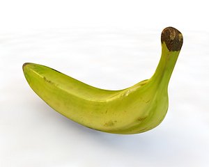 Plantain