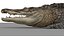 Crocodile Rigged 3D 3D
